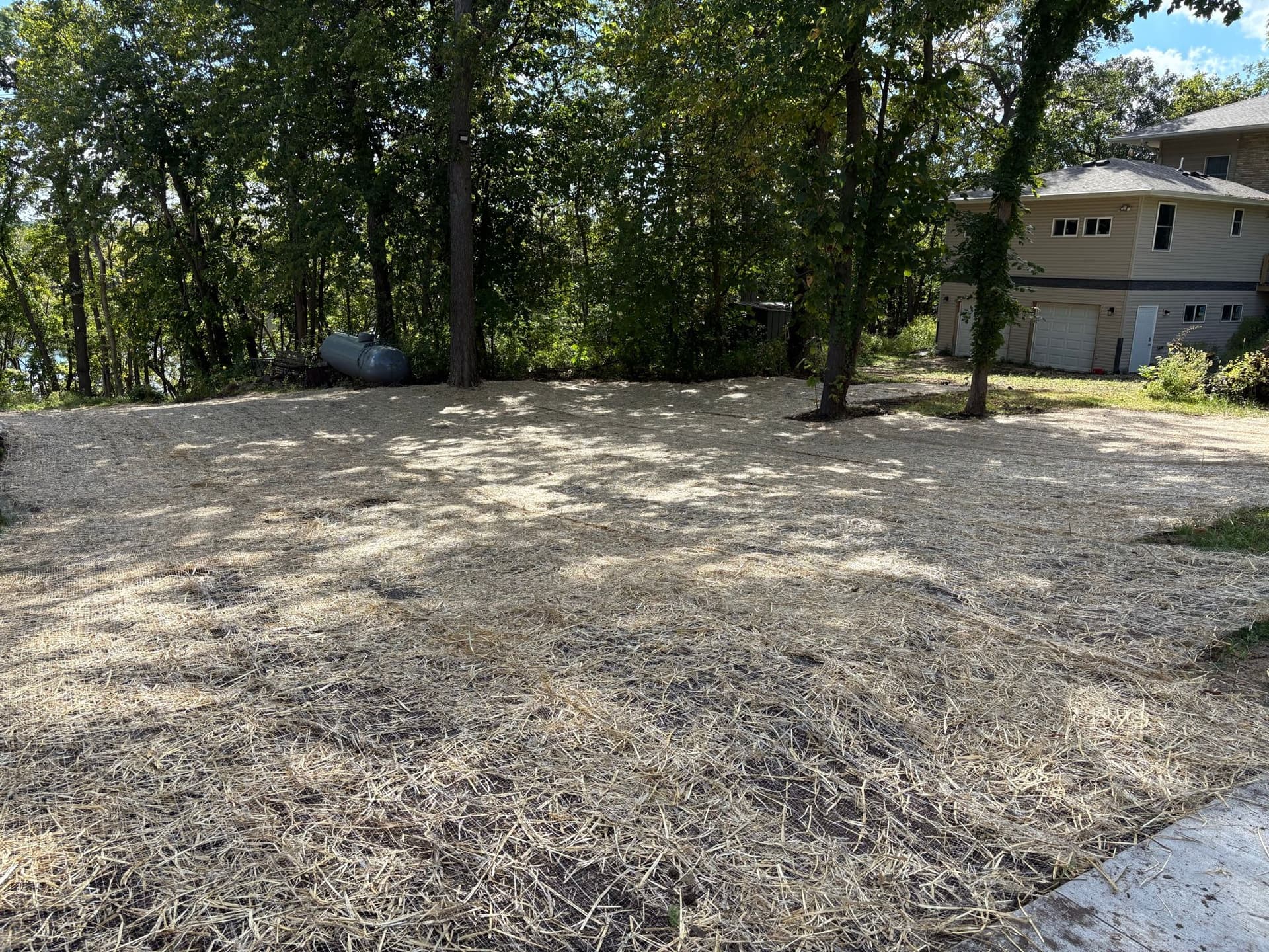 Gallery photos for Successful Yard Restoration in Grey Cloud Island Township: Image #1