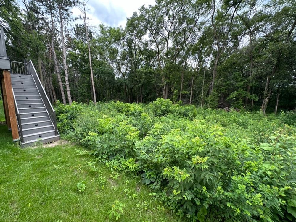 Backyard Transformation with Dual Patios and Pergola in Cottage Grove
