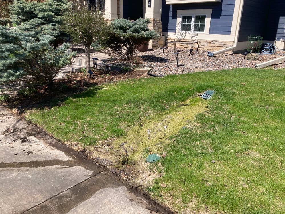 Gallery photos for Dry Creek Bed and Native Plant Garden Install in Woodbury: Image #1