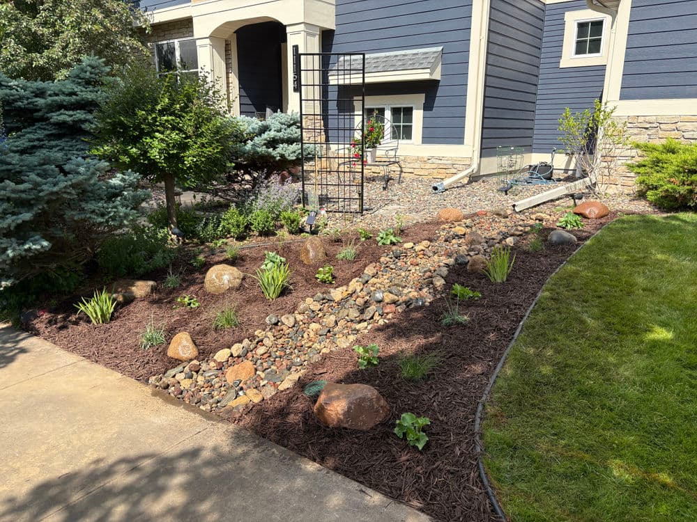 Project Dry Creek Bed and Native Plant Garden Install in Woodbury image
