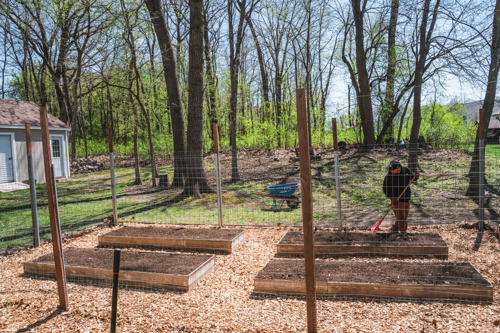 Gallery photos for Garden and Landscaping Bed Upgrades in Cottage Grove: Image #2